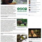 Red Panda Photo National Geographic-Germany Magazine/Website
