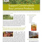 Lantana Flyer A flyer designed for WWF-India