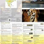 WWF-India Biodiversity Work Brochure A single-fold brochure designed and edited for WWF-India