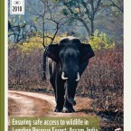 Indian Elephant Photo WWF-India Lumding Report