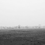 The Place of Release - Manas National Park