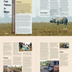 Rhino Translocation Article and Photos Panda Magazine
