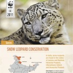 Snow Leopard Photo WWF-India Factsheet