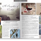 Corbett Travel and Photo Feature You and I Magazine