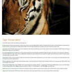 Tiger Card A postcard designed for WWF-India