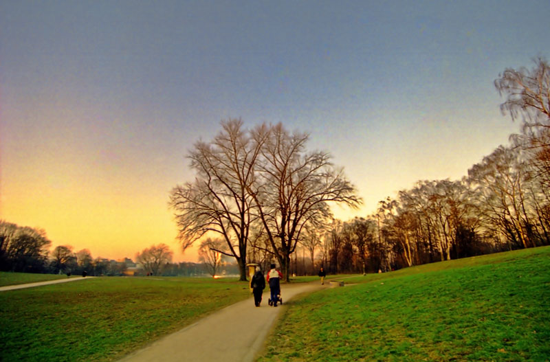 A Walk In The Park