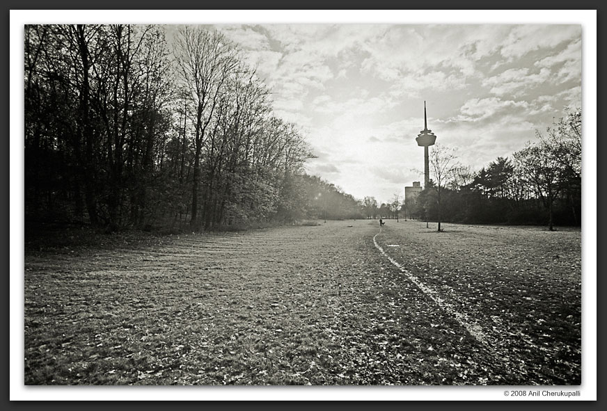 The Path To The Tower