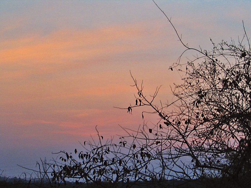 Dusk