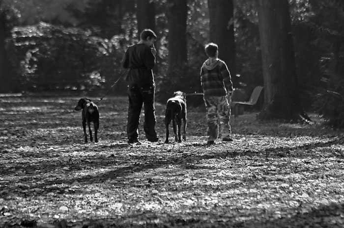 Walking The Dog