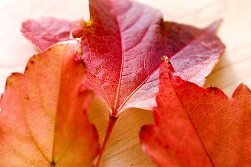Threesome