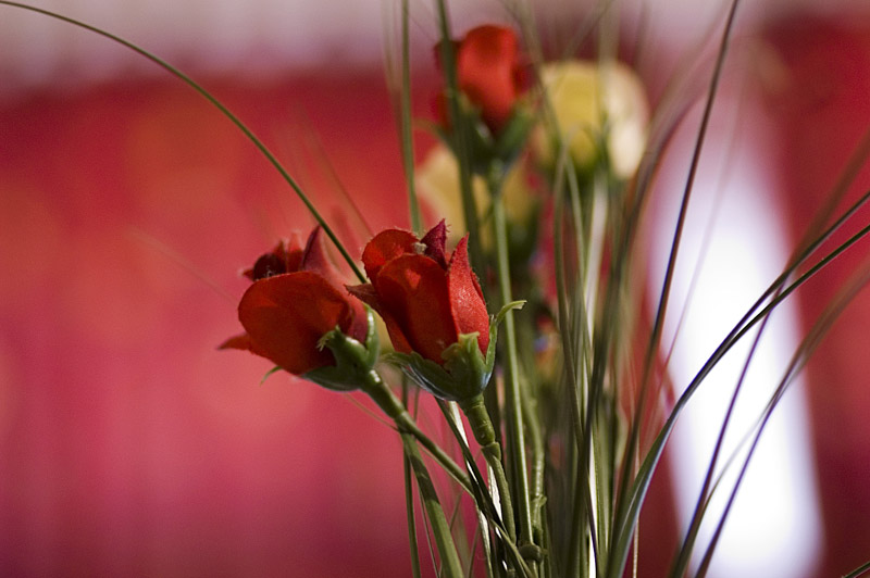 Artificial Red