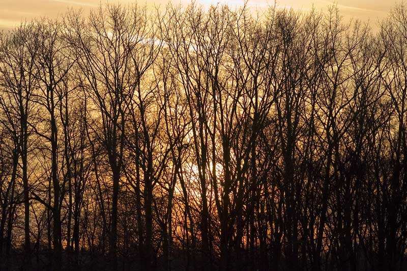 End of the Day