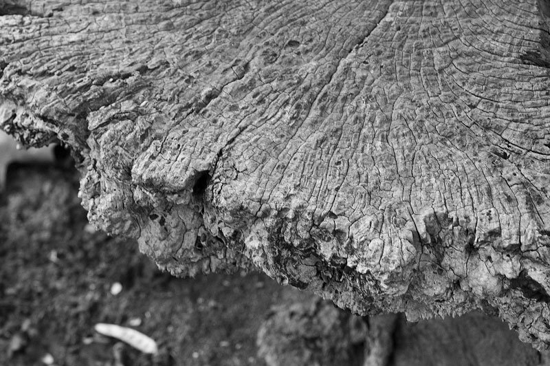 Wrinkled