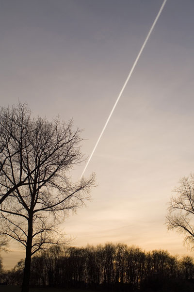 Heavenly Messenger