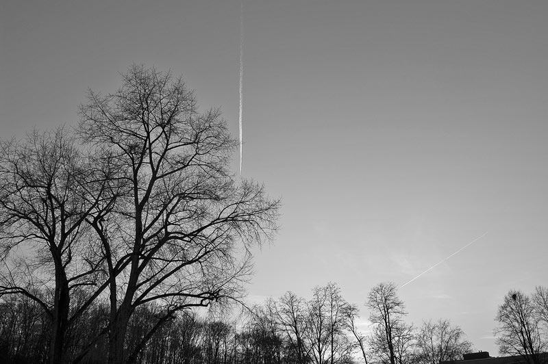 Heavenly Messengers