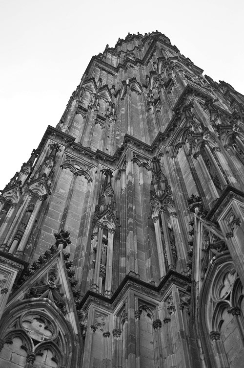 Dom