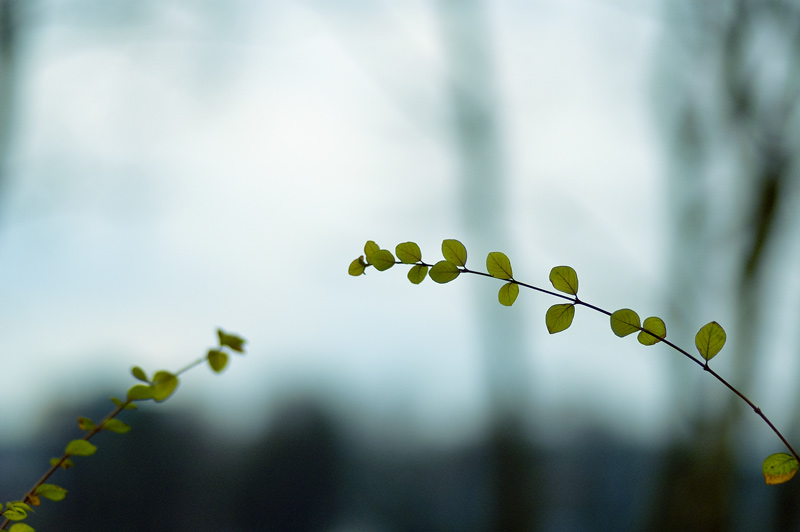 Reaching Out