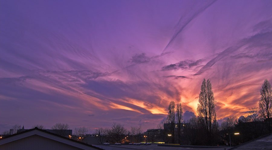 A Wild Sky