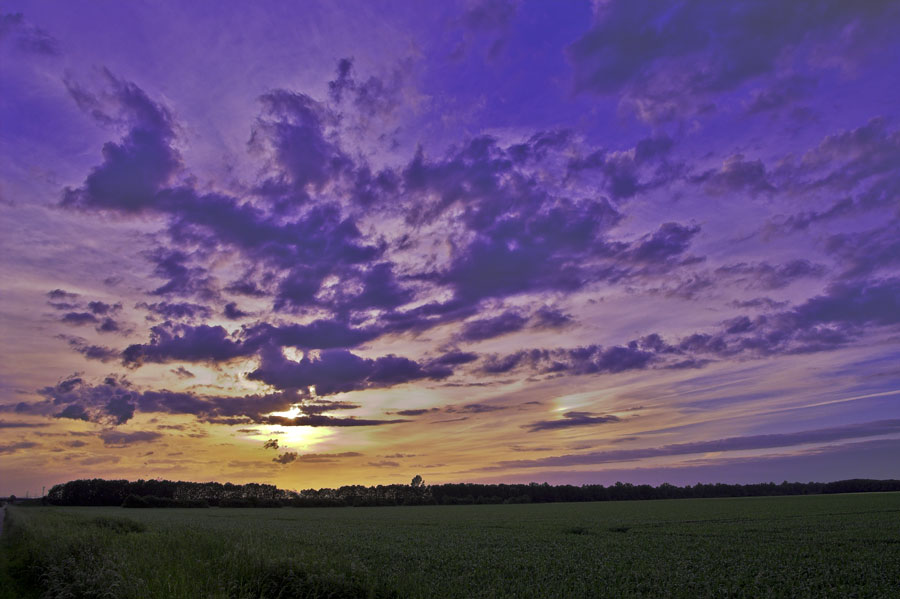 The Last Light