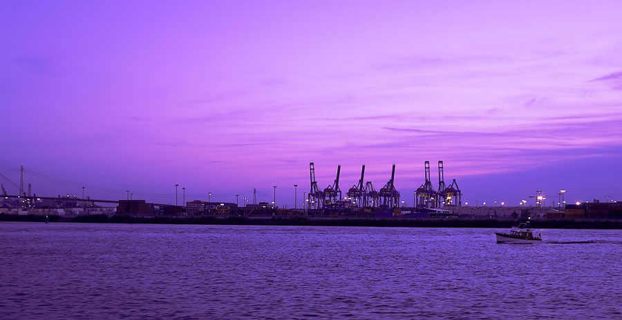 Harbor Cranes
