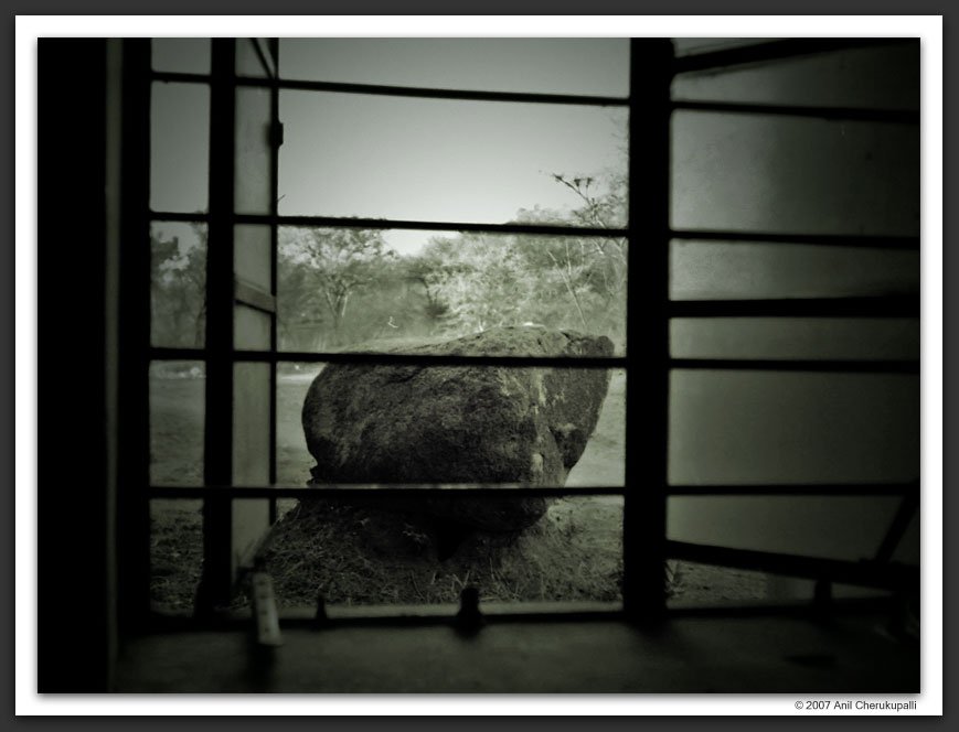 The Room With a View