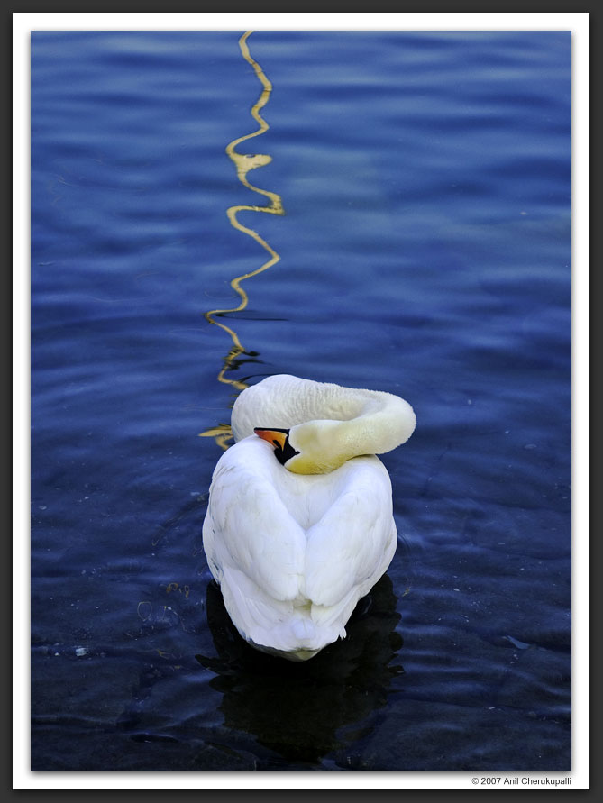 The Golden Thread