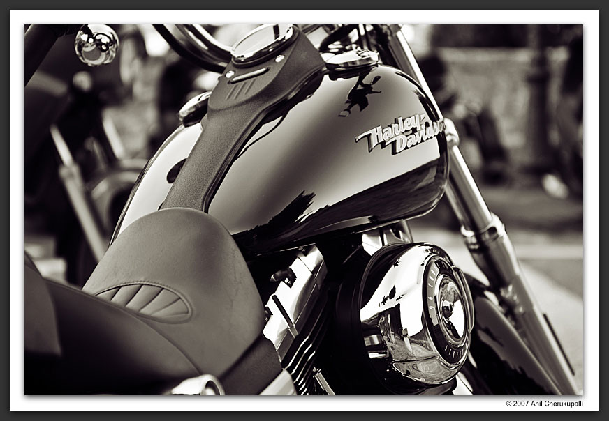 Harley