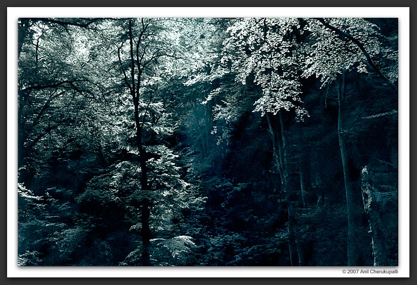 20070917010705_a place for fairy tales