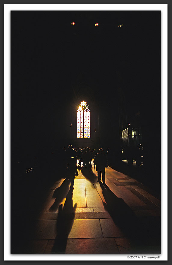 The Ecstacy of Light