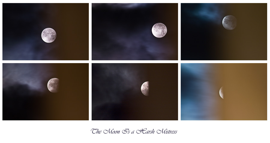 The Moon Is a Harsh Mistress