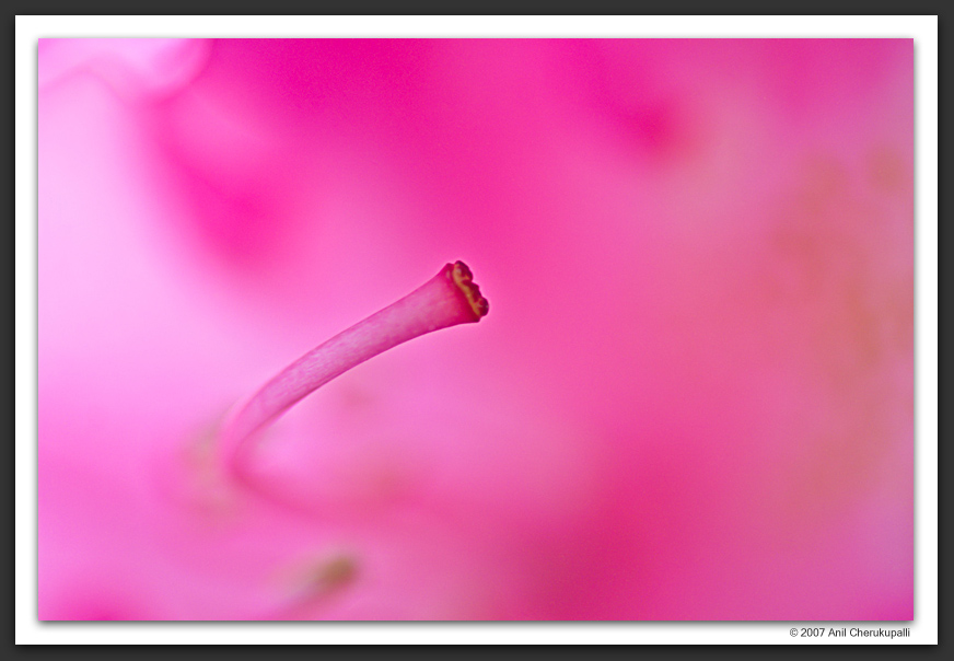 A Study in Pink