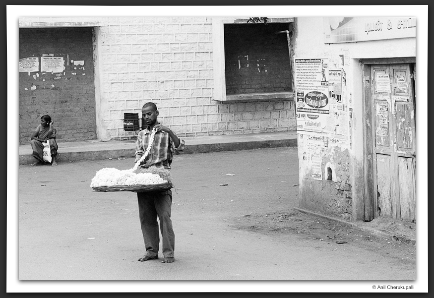 The Flower Seller
