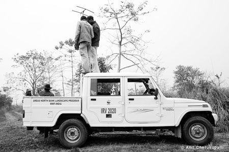Post-release monitoring in Manas
