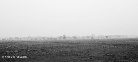 Manas National Park-Site for the Rhino Release